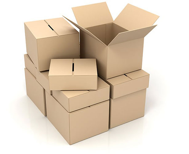packers and movers in hisar